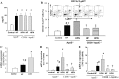 Fig. 9.