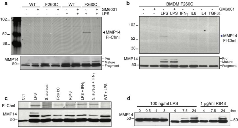 Figure 4: