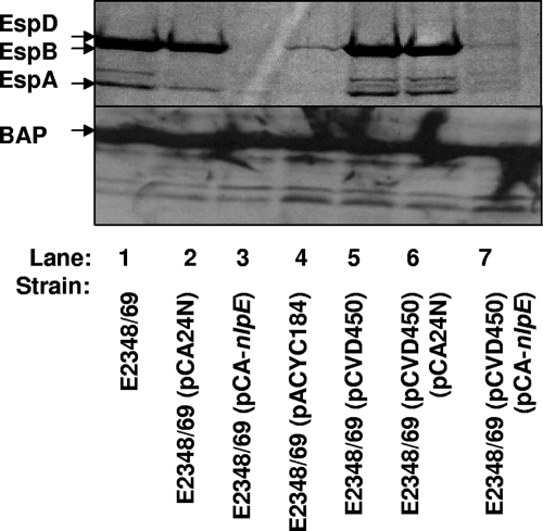 FIG. 7.