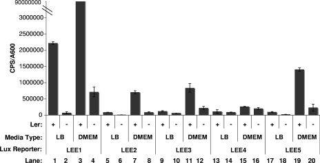 FIG. 3.