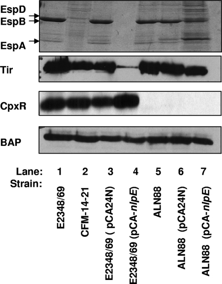 FIG. 8.