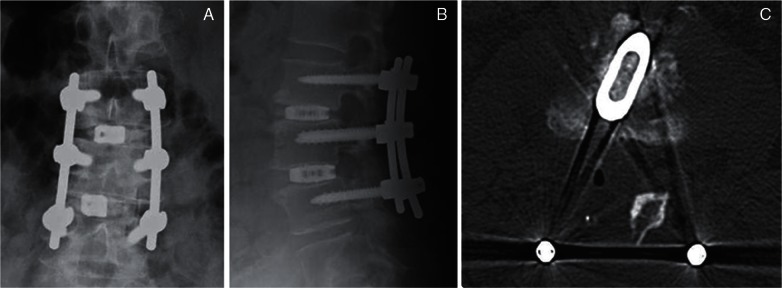 Fig. 4.