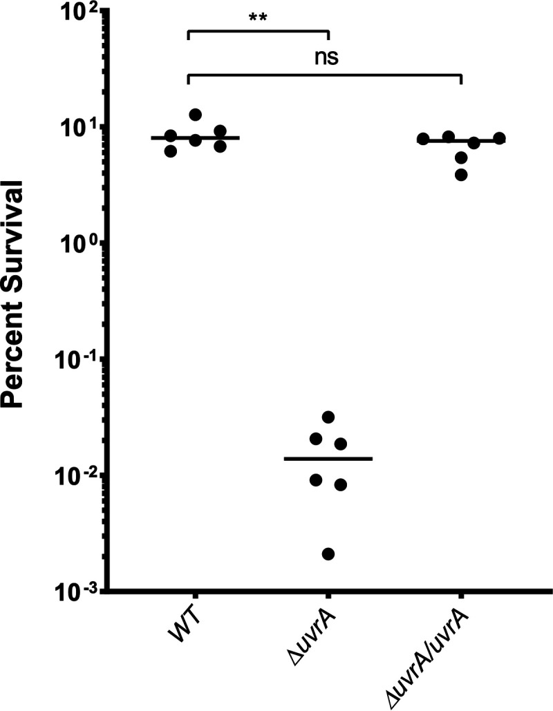 FIG 5