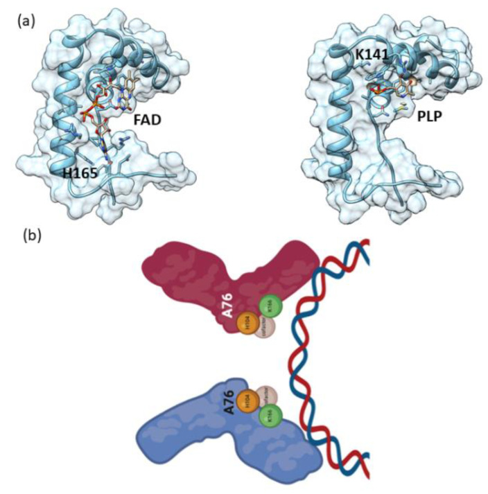 Figure 9