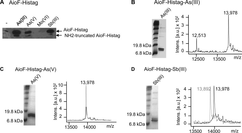 FIG 1