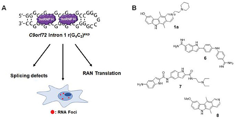 Fig. 12