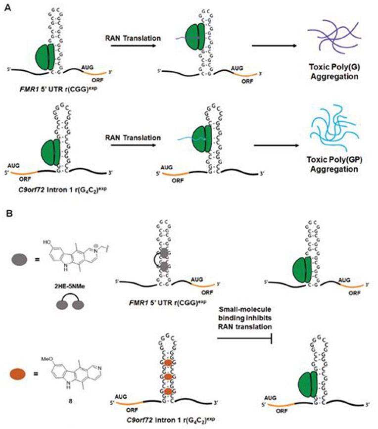 Fig. 14