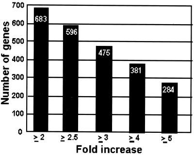 Fig 1.