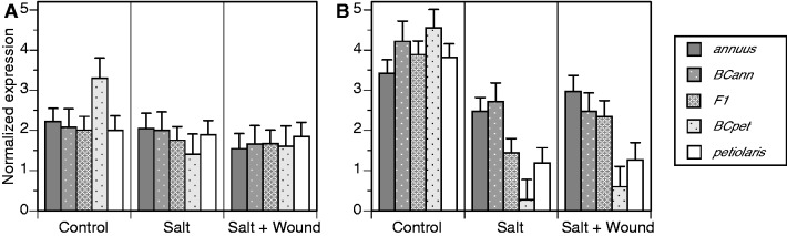 Fig. 2.—