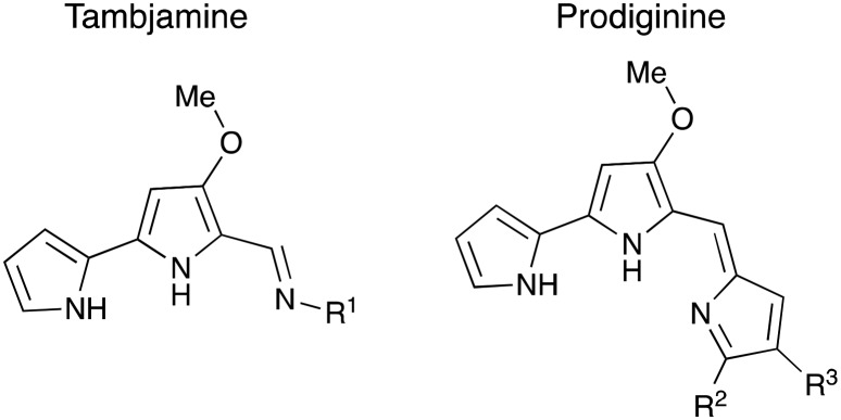 Fig. 1