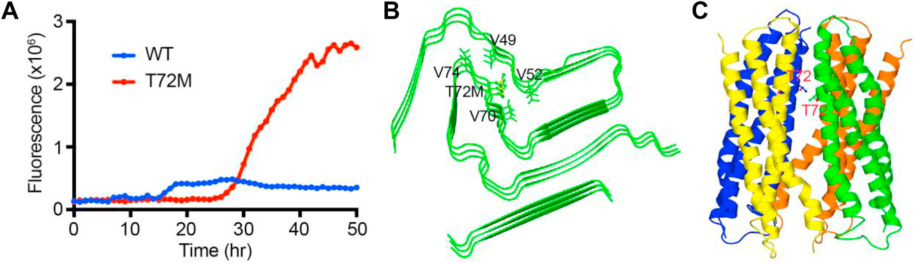 Fig. 3.