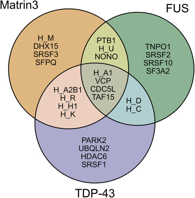 FIGURE 3