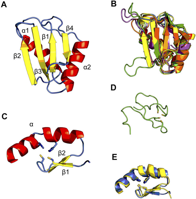 FIGURE 2