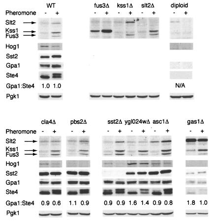 FIG. 7.