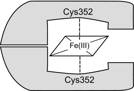 FIGURE 10.