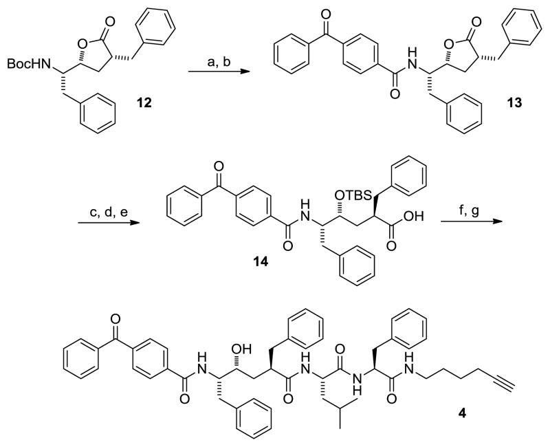 Scheme 2