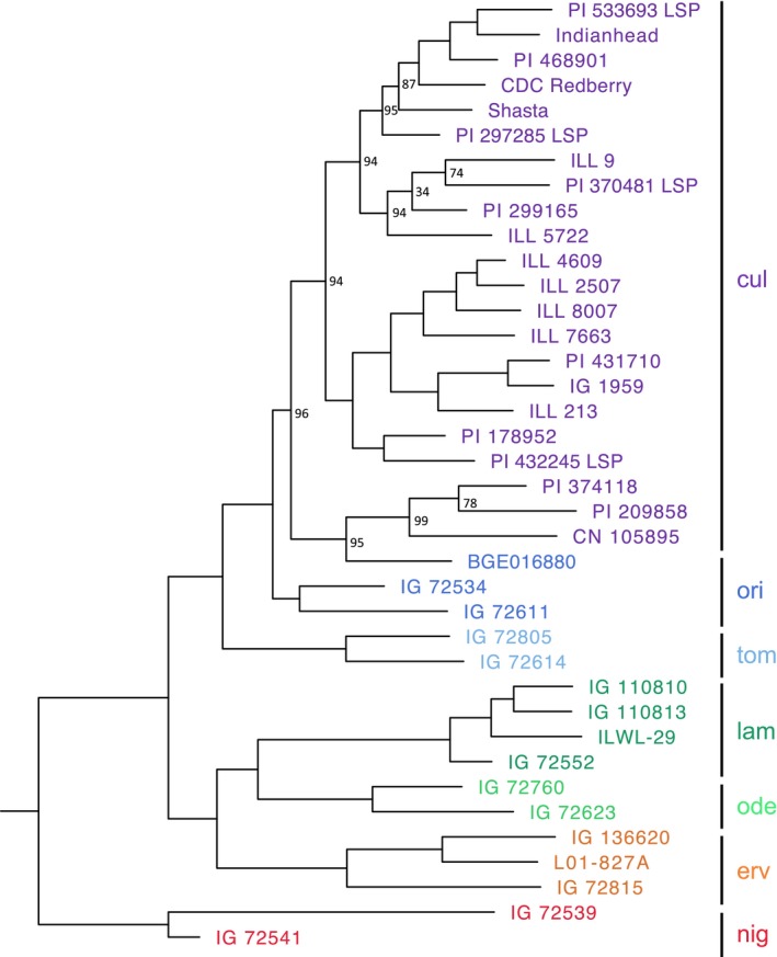 Figure 6