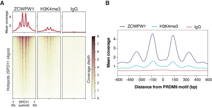 Figure 3—figure supplement 1.