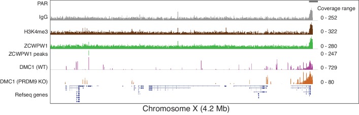 Figure 3—figure supplement 4.