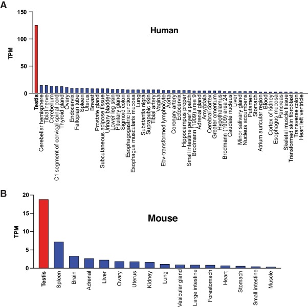 Figure 1—figure supplement 1.