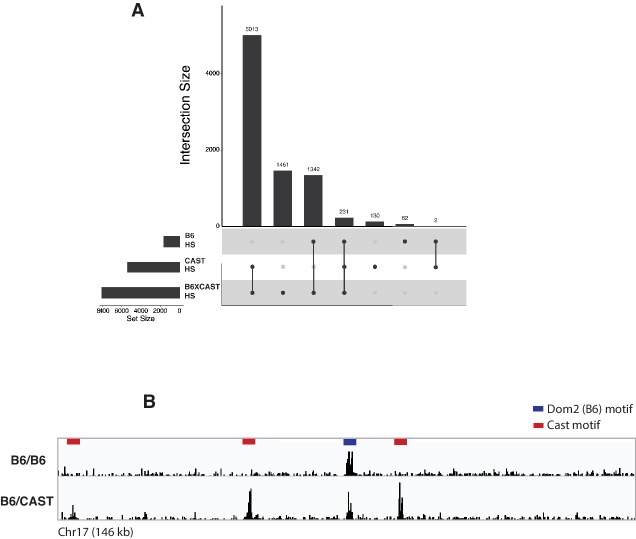 Figure 4—figure supplement 1.