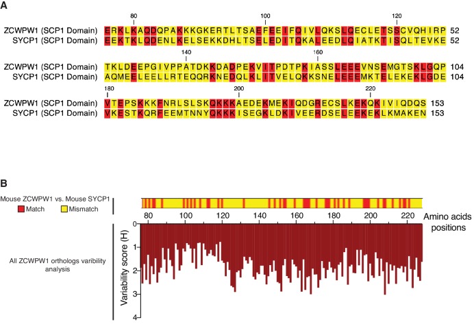 Figure 2—figure supplement 3.