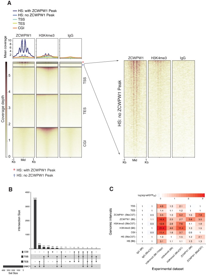 Figure 3—figure supplement 3.