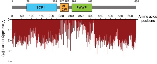 Figure 2—figure supplement 2.