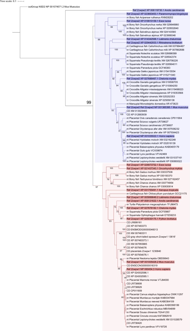 Figure 2—figure supplement 1.