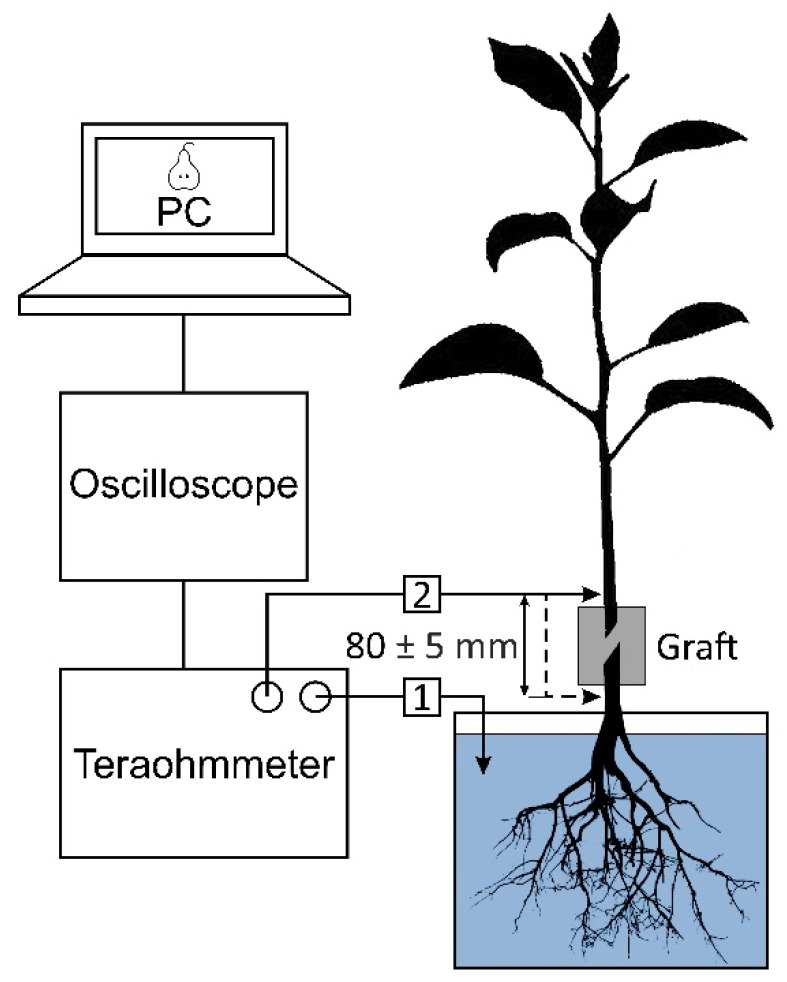 Figure 12