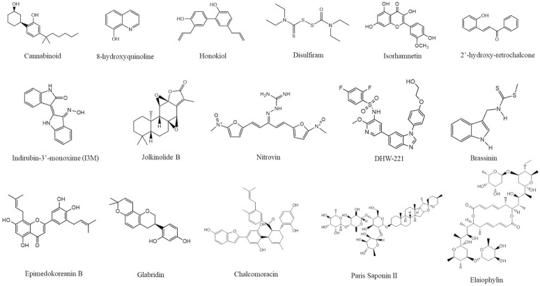 FIGURE 5