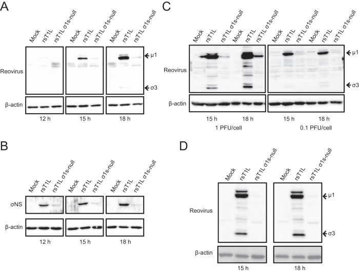 FIG 6