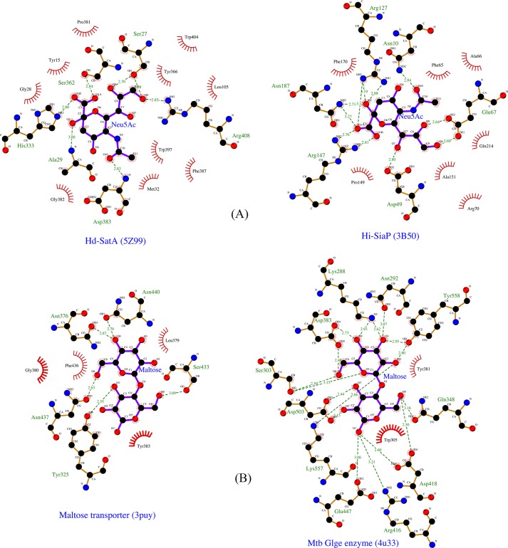 Figure 5.