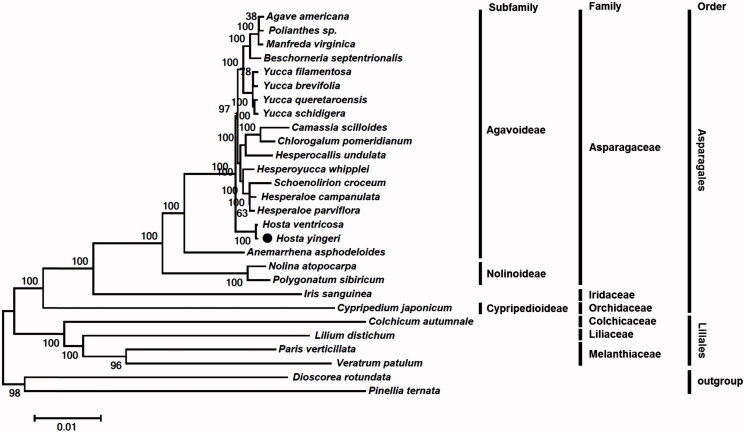 Figure 1.