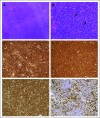 FIG 2