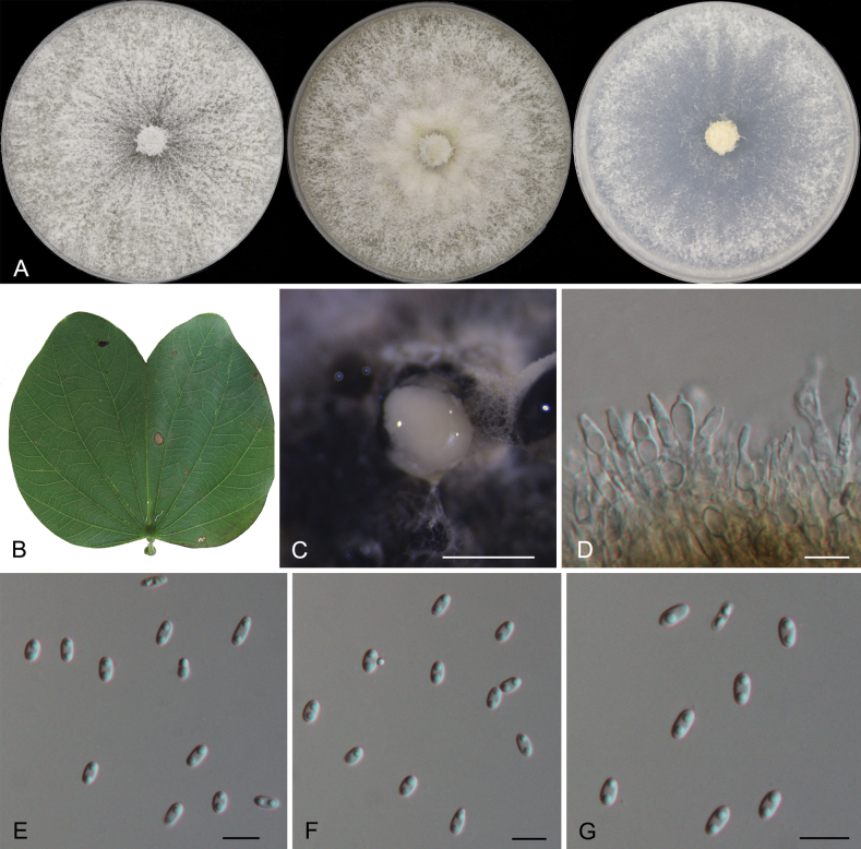 Figure 3.