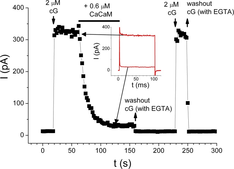 Figure 3.