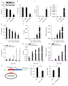 Fig. 4 |