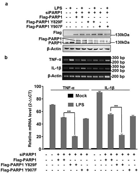 Figure 9.