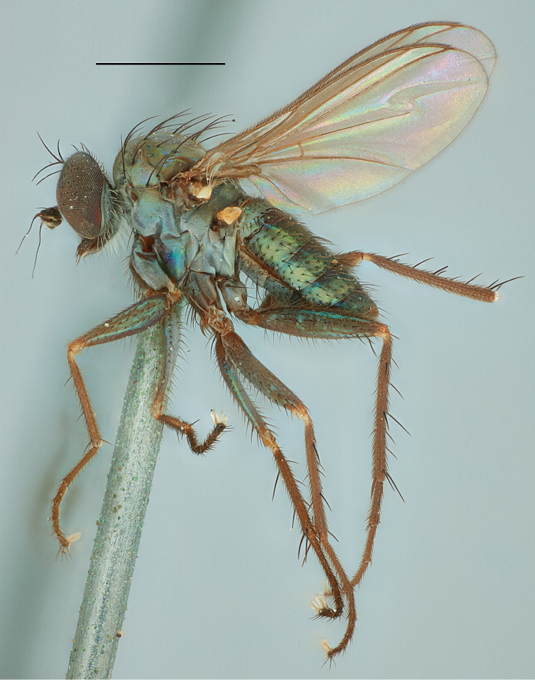Figure 19.