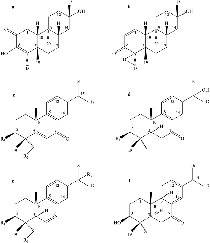 Figure 4