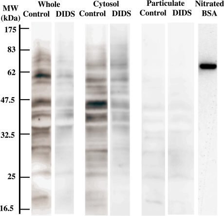 Fig. 7