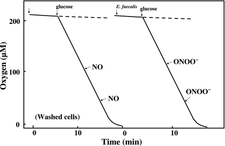 Fig. 5