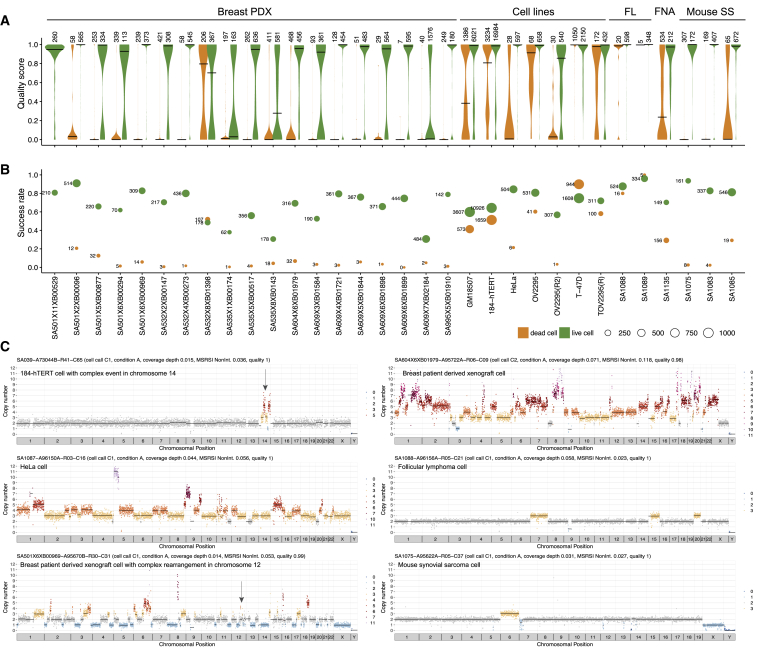 Figure 2