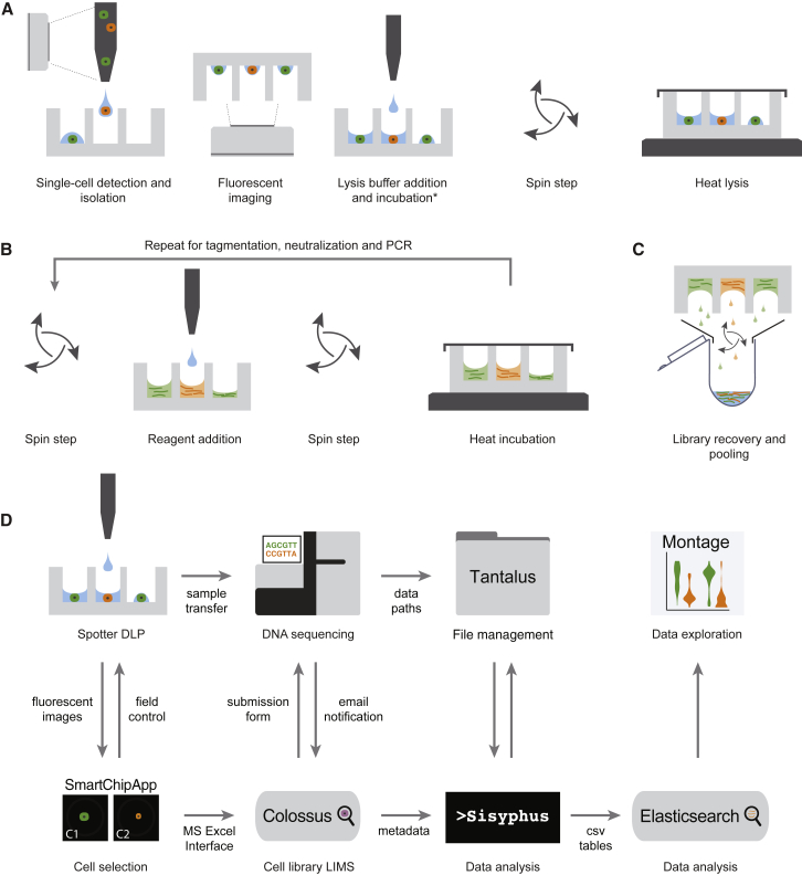 Figure 1