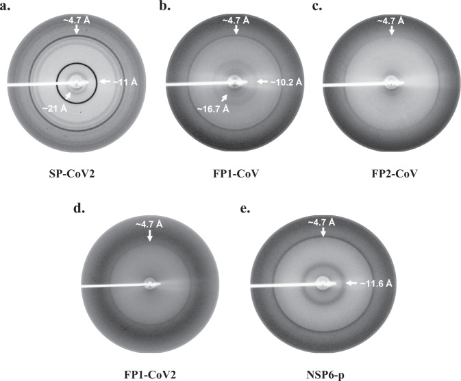 Fig. 9