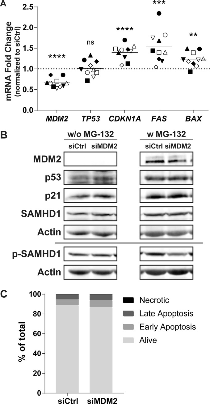 FIG 4