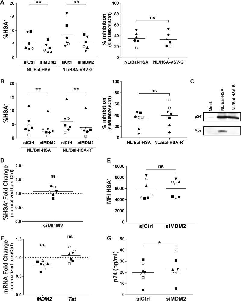 FIG 2