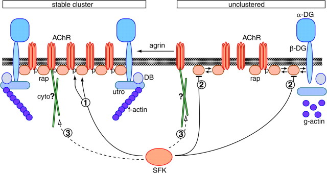 
Figure 10.
