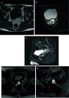Fig. 4